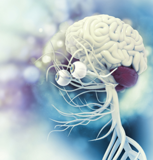 Neuro-Ophthalmology Evaluation