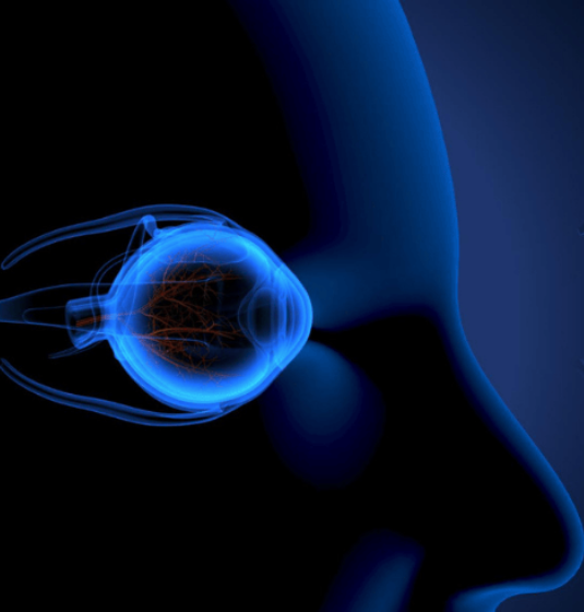 Neuro-Ophthalmology Care
