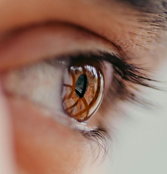 Diabetic Retina Examination